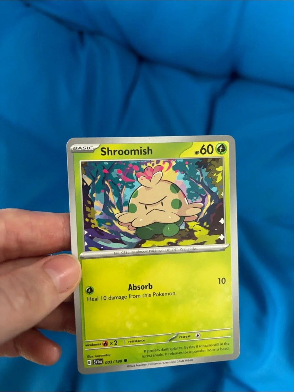 Pokemon nwots pokémon